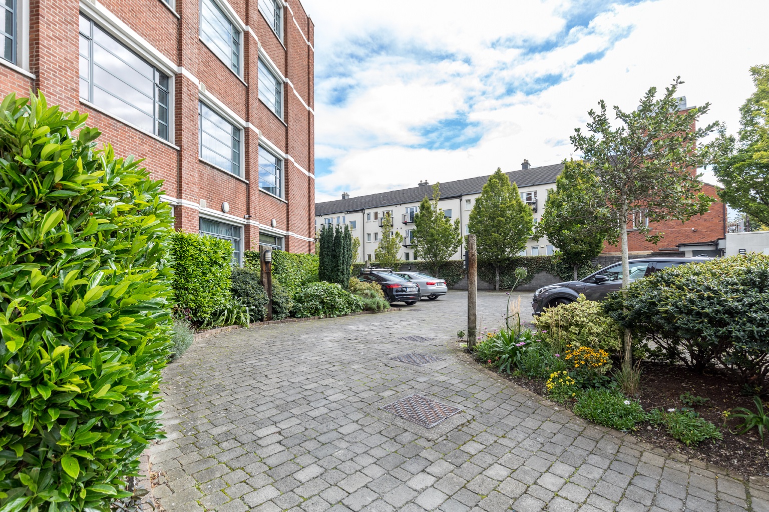 The Warehouse, Clanbrassil Terrace, Dublin 8. Owen Reilly