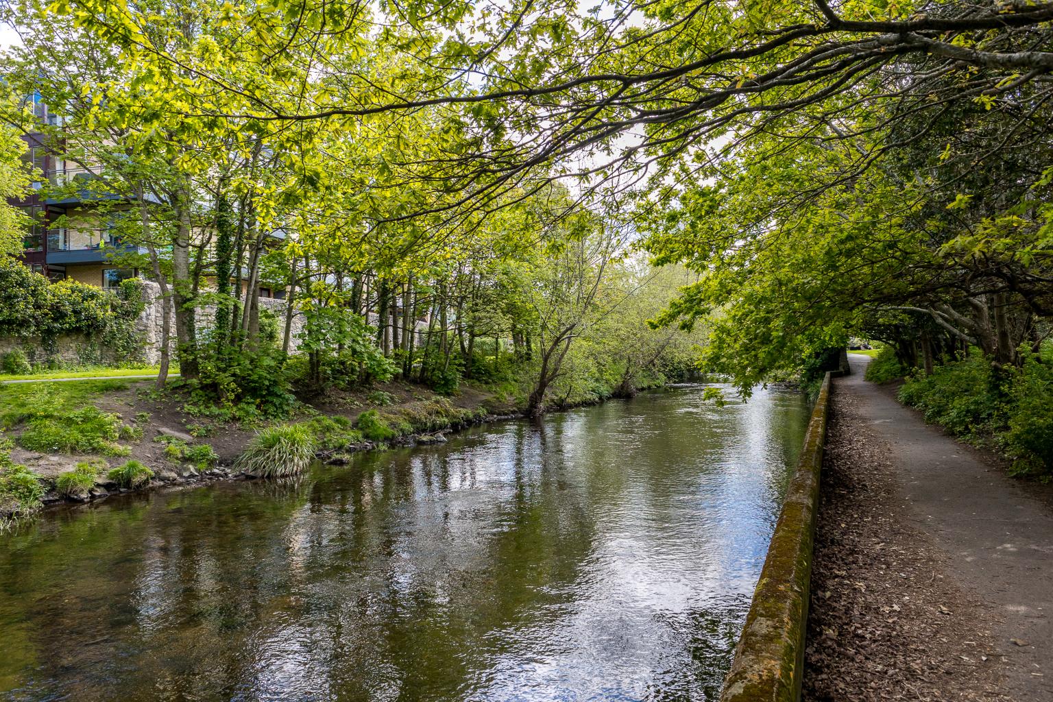 12 Maple Hall, Mount St. Annes, Milltown, Dublin 6, D06 EP94. Owen Reilly